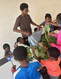 Group of children organizing vegetables from the residential garden.