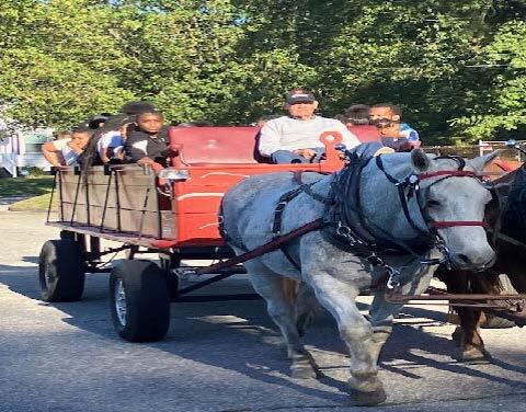 Individuals sitting on carriage pulled by two horses.